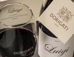 Immagine 1 di TEROLDEGO ROTALIANO D.O.C. RISERVA LUIGI CRU SOTTODOSSI  DORIGATI VINI