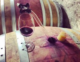 Immagine 2 di TEROLDEGO ROTALIANO D.O.C. RISERVA LUIGI CRU SOTTODOSSI  DORIGATI VINI