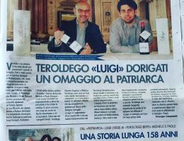 Immagine 3 di TEROLDEGO ROTALIANO D.O.C. RISERVA LUIGI CRU SOTTODOSSI  DORIGATI VINI