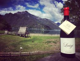 Immagine 4 di TEROLDEGO ROTALIANO D.O.C. RISERVA LUIGI CRU SOTTODOSSI  DORIGATI VINI