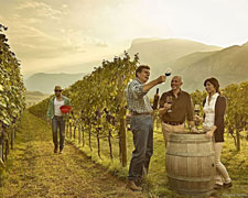 Immagine 2 di TRENTO D.O.C. BRUT NATURE RISERVA  BELLAVEDER VINI