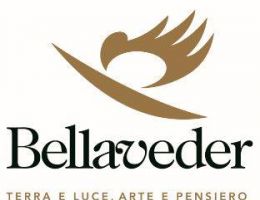 Immagine 4 di TRENTO D.O.C. BRUT NATURE RISERVA  BELLAVEDER VINI