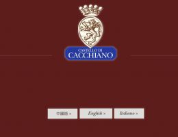 Immagine 1 di CHIANTI CLASSICO GRAN SELEZIONE D.O.C.G. MILLENNIO