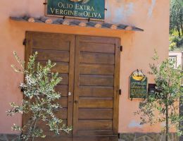 Immagine 2 di OLIO EXTRAVERGINE DI OLIVA CHIANTI CLASSICO D.O.P. COLLE DEI GIACHI