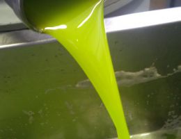 Immagine 5 di OLIO EXTRAVERGINE DI OLIVA CHIANTI CLASSICO D.O.P. COLLE DEI GIACHI