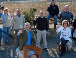 Immagine 1 di CHIANTI CLASSICO GRAN SELEZIONE D.O.C.G. VIGNETO SAN MARCELLINO