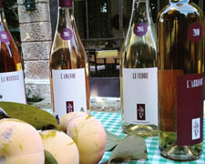 Immagine 1 di COLLI BERICI GARGANEGA PASSITA D.O.C. L'ABRICOT Il COLLE DI GA' VINI