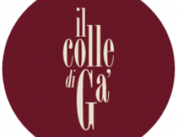 Immagine 2 di COLLI BERICI GARGANEGA PASSITA D.O.C. L'ABRICOT Il COLLE DI GA' VINI