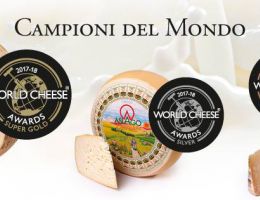 Immagine 2 di ASIAGO STAGIONATO D.O.P.