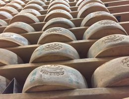 Immagine 4 di ASIAGO STAGIONATO D.O.P.