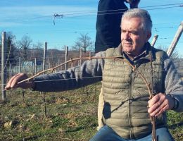 Immagine 2 di CHIANTI CLASSICO RISERVA D.O.C.G.