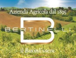 Immagine 2 di PARMIGIANO REGGIANO D.O.P. MILLESIMATO 36 MESI CASEIFICIO BERTINELLI