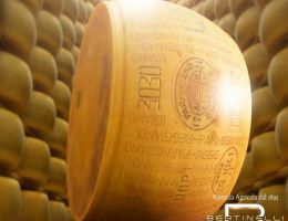 Immagine 3 di PARMIGIANO REGGIANO D.O.P. MILLESIMATO 36 MESI CASEIFICIO BERTINELLI
