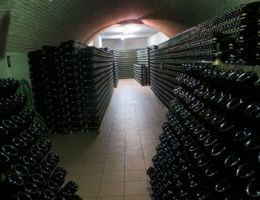 Immagine 3 di COMITISSA BRUT RISERVA TALENTO D.O.C.G. SUDTIROL SPUMANTE METODO CLASSICO