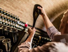 Immagine 5 di COMITISSA BRUT RISERVA TALENTO D.O.C.G. SUDTIROL SPUMANTE METODO CLASSICO