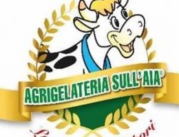 Immagine 2 di STRACCHINO IN CROSTA BRESCIANO CASEIFICIO SULL'AIA