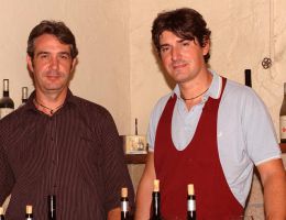 Immagine 1 di AMARONE DELLA VALPOLICELLA CLASSICO D.O.C. CASTEL