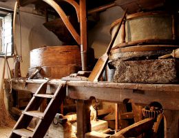 Immagine 4 di AMARONE DELLA VALPOLICELLA CLASSICO D.O.C. CASTEL