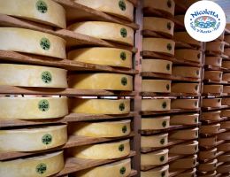 Immagine 2 di FONTINA D.O.P. CASEIFICIO NICOLETTA