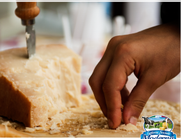 Immagine 4 di PARMIGIANO REGGIANO D.O.P. 40 MESI LATTERIA SOCIALE MODERNA