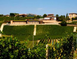 Immagine 4 di BAROLO D.O.C.G. MARCENASCO CANTINA RENATO RATTI