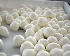 Immagine 3 di MOZZARELLA DI BUFALA CAMPANA D.O.P.