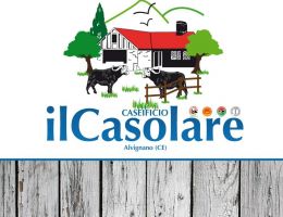 Immagine 2 di MOZZARELLA DI BUFALA CAMPANA D.O.P.