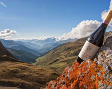 Immagine 1 di VALGELLA VALTELLINA SUPERIORE D.O.C.G. VINICOLA BETTINI