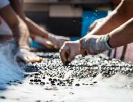 Immagine 4 di CHIANTI CLASSICO D.O.C.G. GRAN SELEZIONE DI MONTEMAGGIO