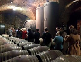 Immagine 2 di TEROLDEGO ROTALIANO D.O.C. SANGUE DI DRAGO MARCO DONATI VINI