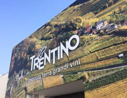 Immagine 3 di TEROLDEGO ROTALIANO D.O.C. SANGUE DI DRAGO MARCO DONATI VINI