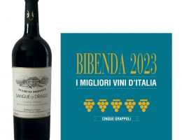 Immagine 5 di TEROLDEGO ROTALIANO D.O.C. SANGUE DI DRAGO MARCO DONATI VINI