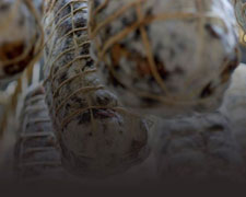 Immagine 1 di BONDIOLA COL LENGUAL SALUMIFICIO ARTIGIANALE BAZZA