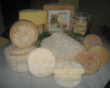 Immagine 1 di MASCON LATTE CRUDO OVINO CASEIFICIO CASA FRESCU