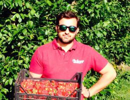 Immagine 3 di CONFETTURA DI FRAGOLE