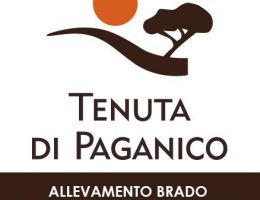 Immagine 3 di PROSCIUTTO CRUDO DI CINTO TOSCANO D.O.P