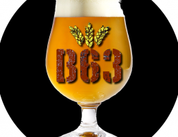 Immagine 2 di ROCK STILE AMERICAN IPA BIRRIFICIO B63