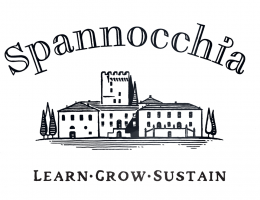 Immagine 4 di PROSCIUTTO CRUDO DI CINTO TOSANO D.O.P. 36 MESI TENUTA DI SPANNOCCHIA