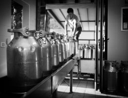 Immagine 4 di FONTINA D.O.P. FROMAGERIE HAUT VAL D'AYAS