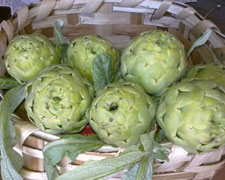 Immagine 1 di CARCIOFO BIANCO DI PERTOSA