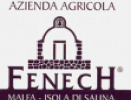Immagine 4 di MALVASIA DELLE LIPARI D.O.C. PASSITO AGRI FENECH VINI