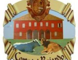 Immagine 2 di PARMIGIANO REGGIANO D.O.P.