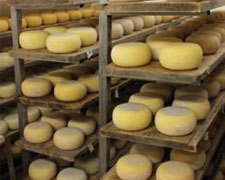 Immagine 1 di CACCIOTTELLA MISTO VACCINO OVINO