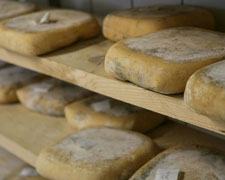 Immagine 1 di FORMAGGIO SOLA PRODOTTO CON LATTE CRUDO DI PECORA CASEIFICIO EN BARLET