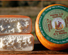 Immagine 1 di PECORINO SAN MARTINO