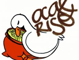 Immagine 2 di RISO CARNAROLI DELLA LOMELLINA AGRI RISERIA OCA&RISO