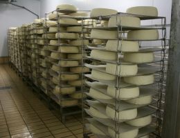 Immagine 1 di Toma Valle Elvo