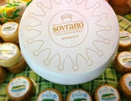 Immagine 1 di Parmigiano con Latte di Bufala