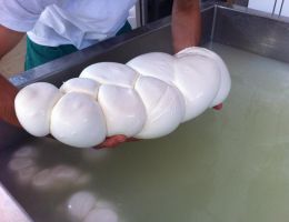 Immagine 3 di Parmigiano con Latte di Bufala