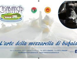 Immagine 4 di Parmigiano con Latte di Bufala